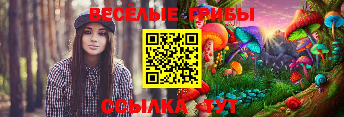 Галлюциногенные грибы MAGIC MUSHROOMS Карачаевск