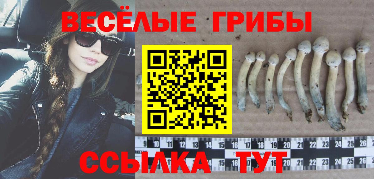 Галлюциногенные грибы мицелий  Вход с VPN  дарнет шоп  Карачаевск 